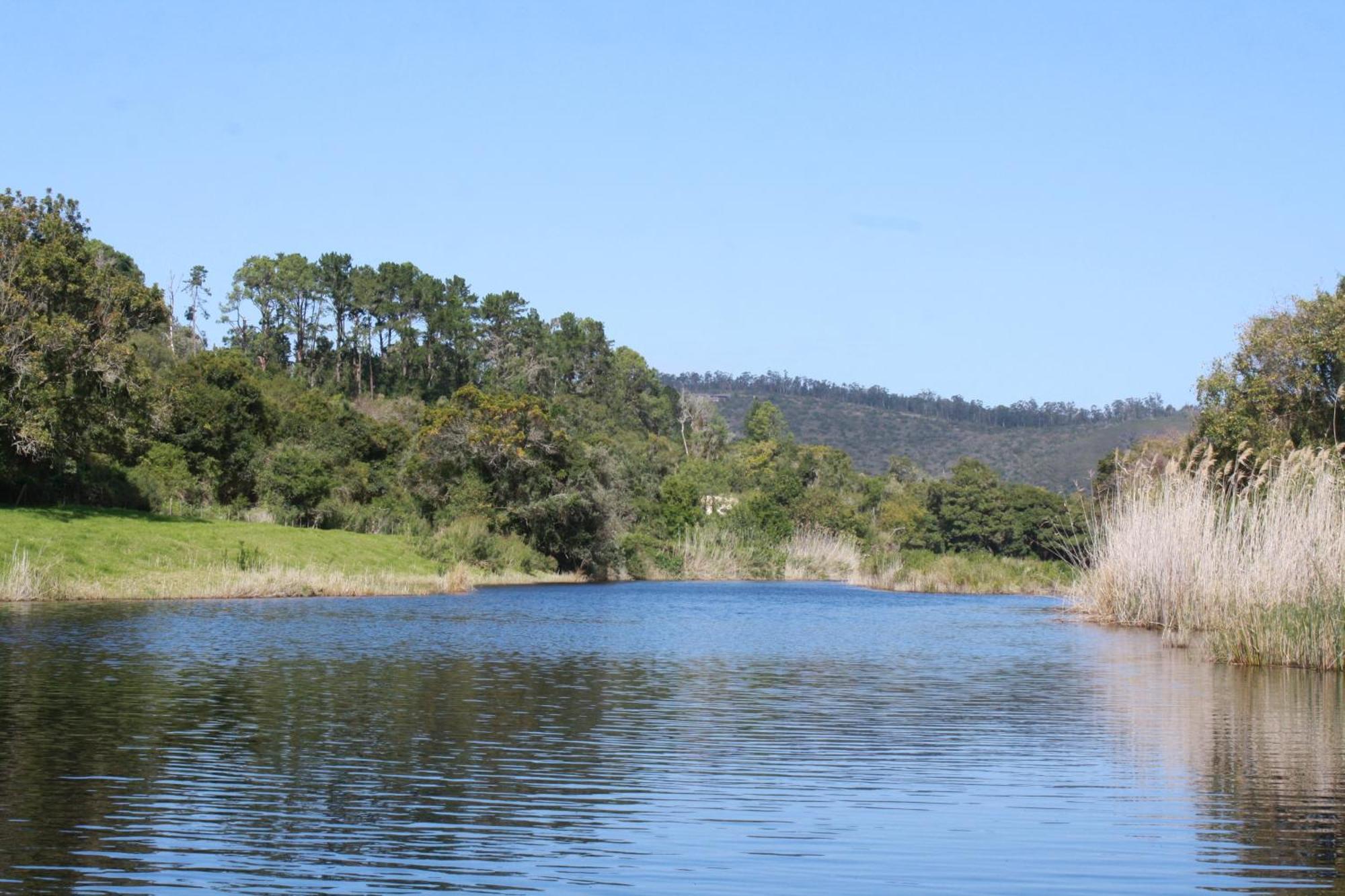 Bushbuck Camp Hotel Sedgefield Exterior photo